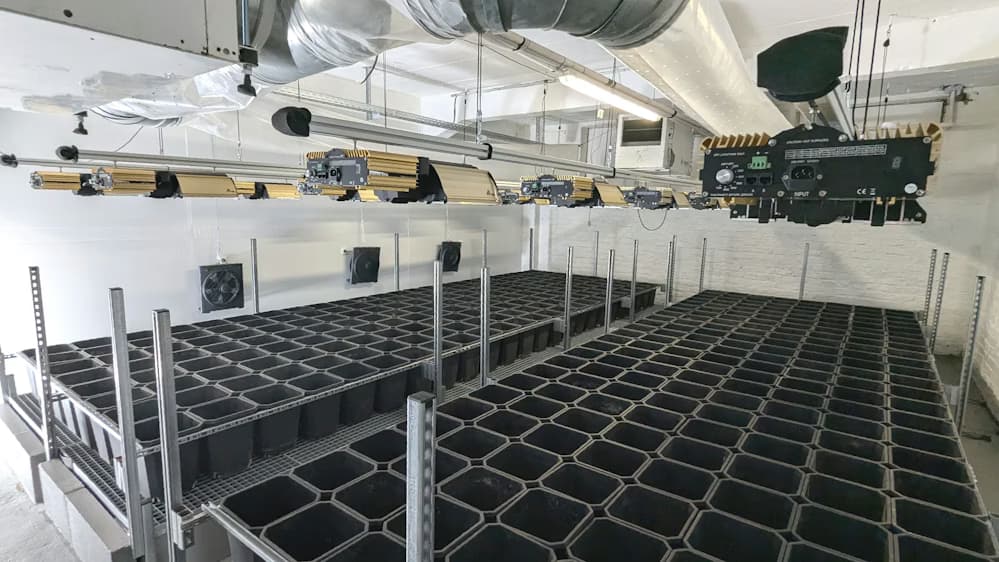 KSTA-Artikel: Erster Cannabisverein im Kreis Euskirchen ist gegründet